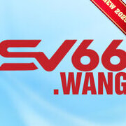 sv66wang