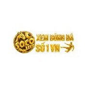 socolivezcc1