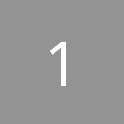 16xx8